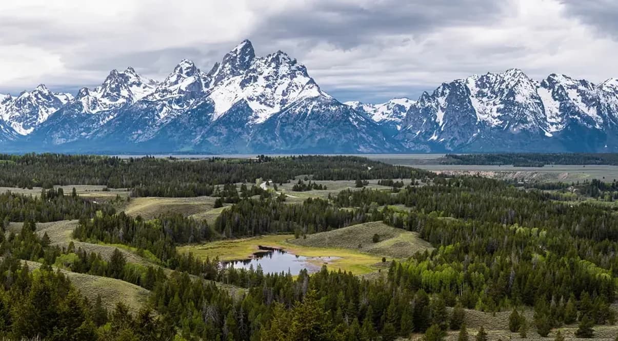 The webcam's own frame: the Teton range across a forested valley